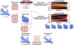 LION: Latent Point Diffusion Models for 3D Shape Generation